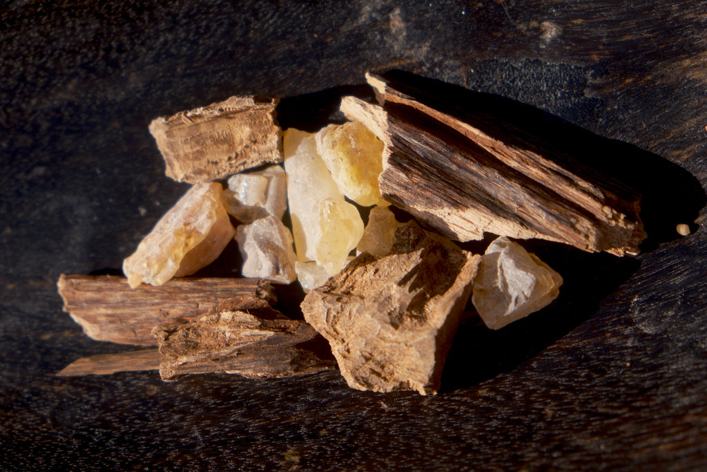 TRUESSENCE SIRR AL MUSK